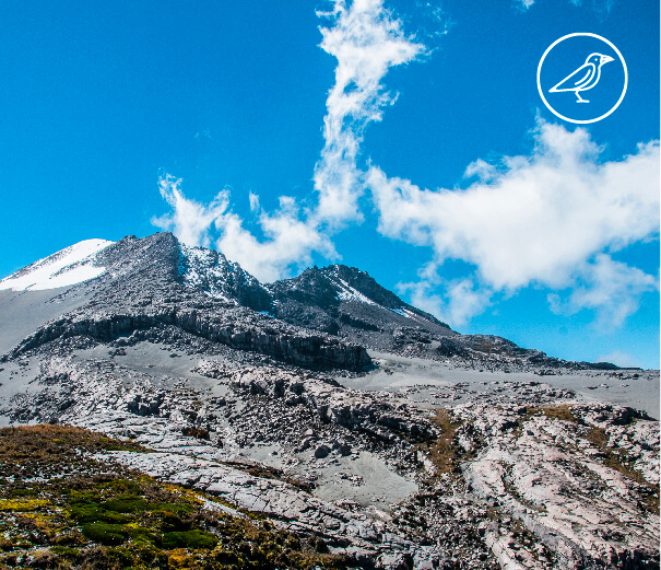 Experiencia/Nevados/paisaje de volcanes