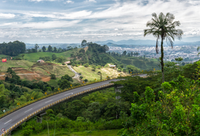 vuelos/de Bogotá a Pereira