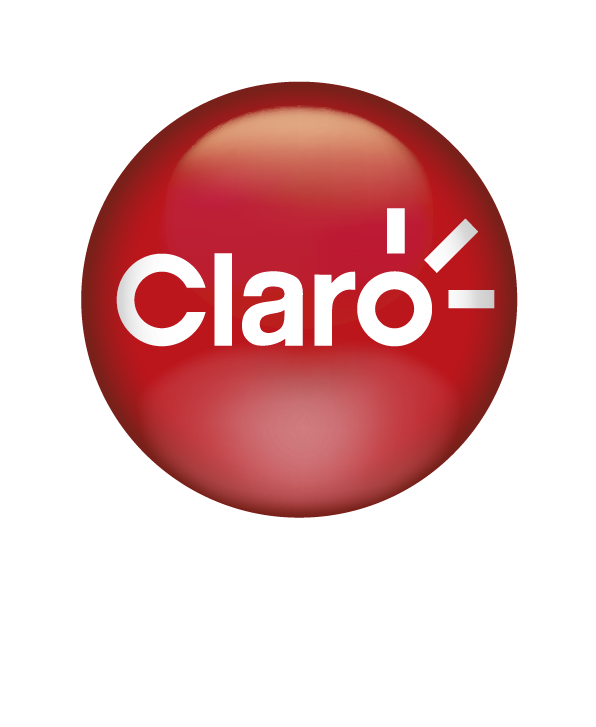 PorvenirTiquetes baratos a cualquier destino.