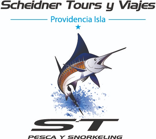 SCHEIDNER TOURS Y VIAJES