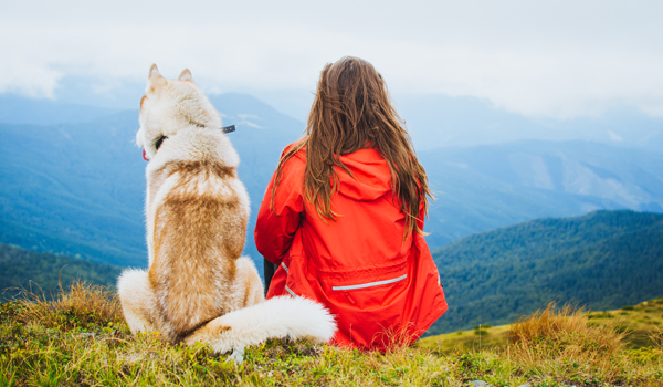 Reglamentación para perros en playas pet friendly