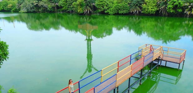 Ciénaga Artificial Miramar