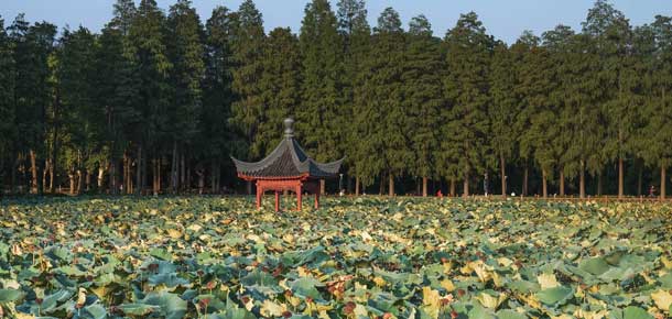 Lago en Wuhan, China