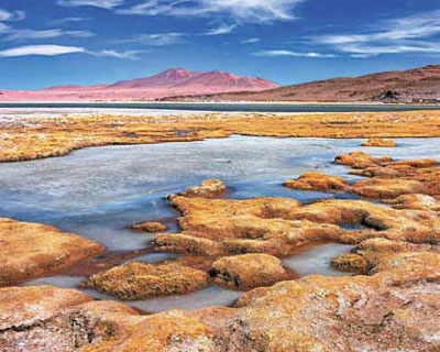 Paisaje sobrecogedor en el Salar de Tara Chile