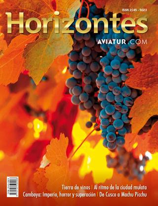 Descargar Revista Horizontes edición número 16